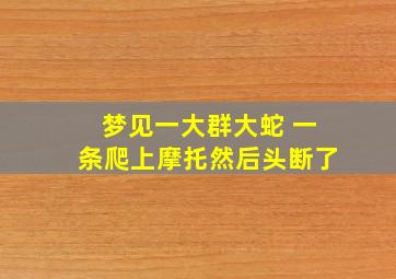 梦见一大群大蛇 一条爬上摩托然后头断了